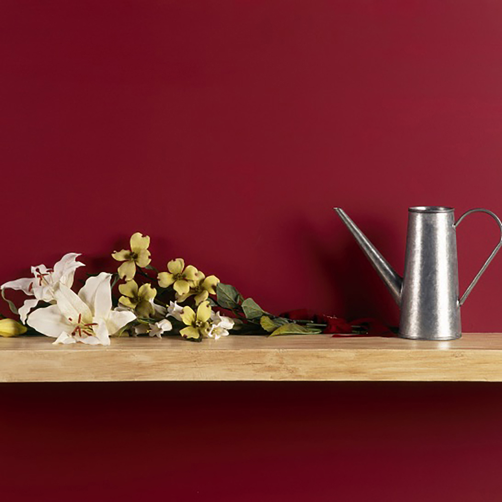 Craig & Rose Walls and Ceilings Medici Crimson Chalky Emulsion Paint 5L Image 4