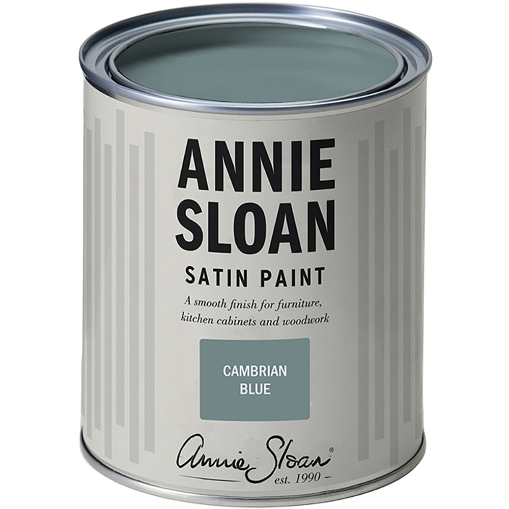Annie Sloan Cambrian Blue Wood and Metal Satin Paint 750ml Image 2
