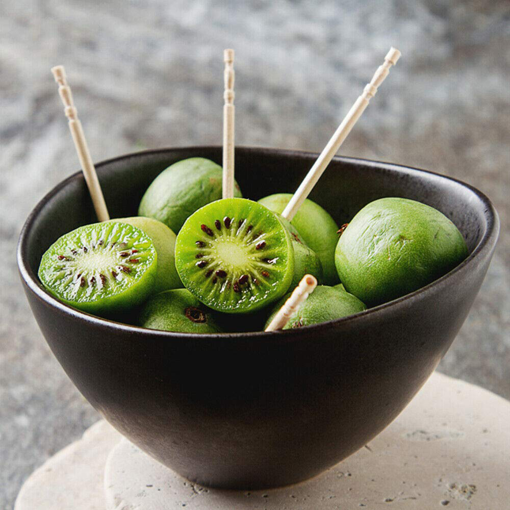 Thompson and Morgan Kiwi Berry Actinidia Arguta SF Issai Potted Plant 9cm Image 2