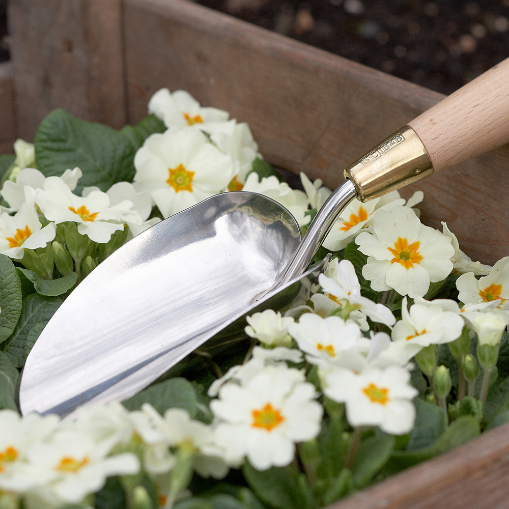 Sophie Conran Stainless Steel Garden Trowel with Beech Wood Handle in Gift Box Image 5