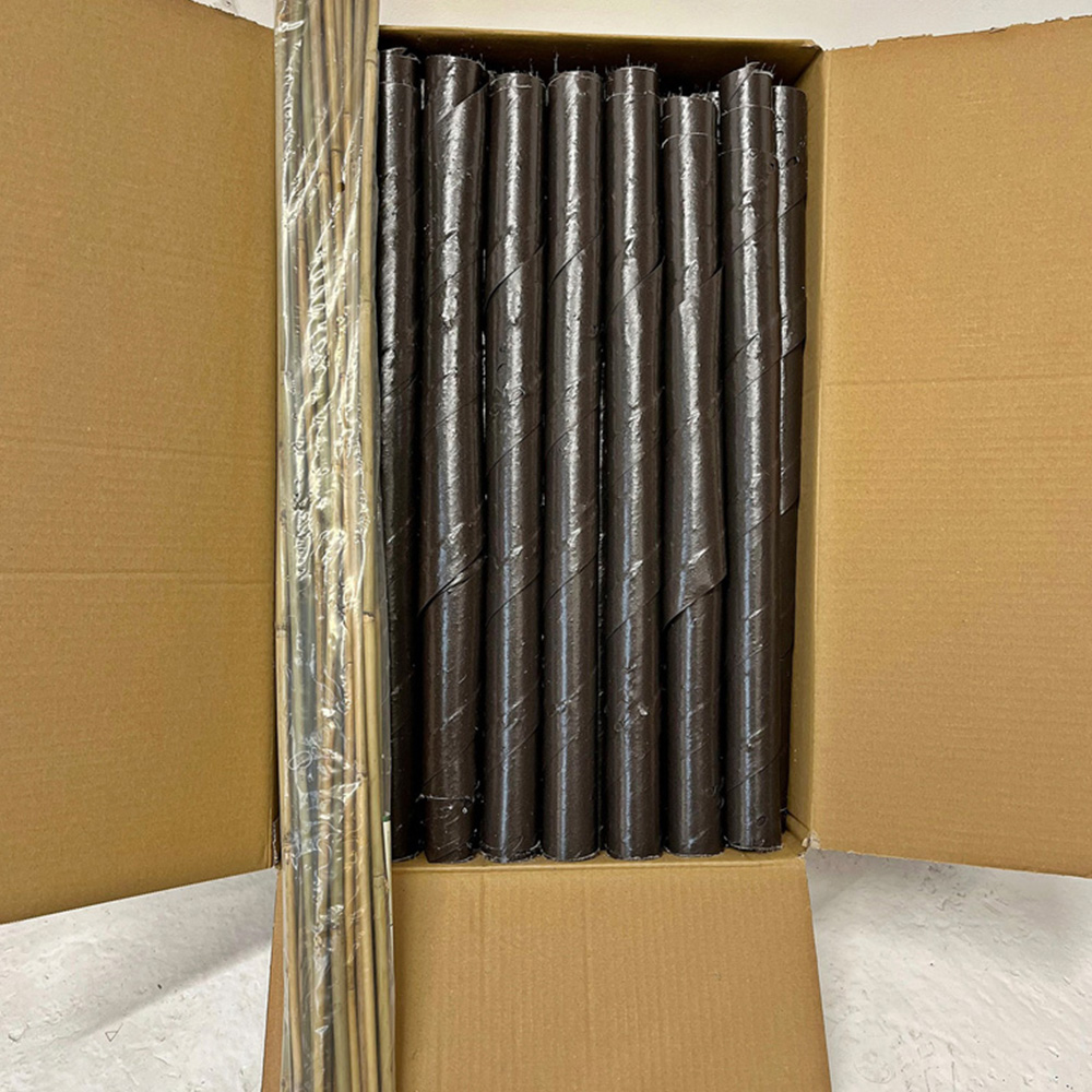 Inspirational Gifting Brown Spiral Tree Guard with Canes 60cm x 38mm 100 Pack Image 5