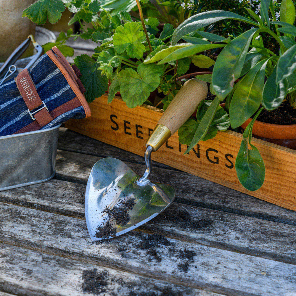 Sophie Conran Stainless Steel Heart Shaped Garden Trowel with Beech Wood Handle in Gift Box Image 2