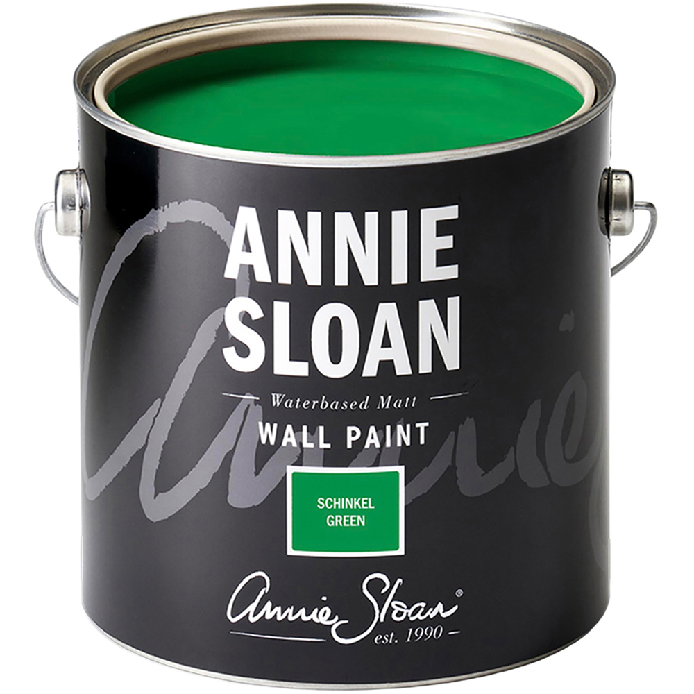 Annie Sloan Schinkel Green Matt Wall Paint 2.5L Image 2