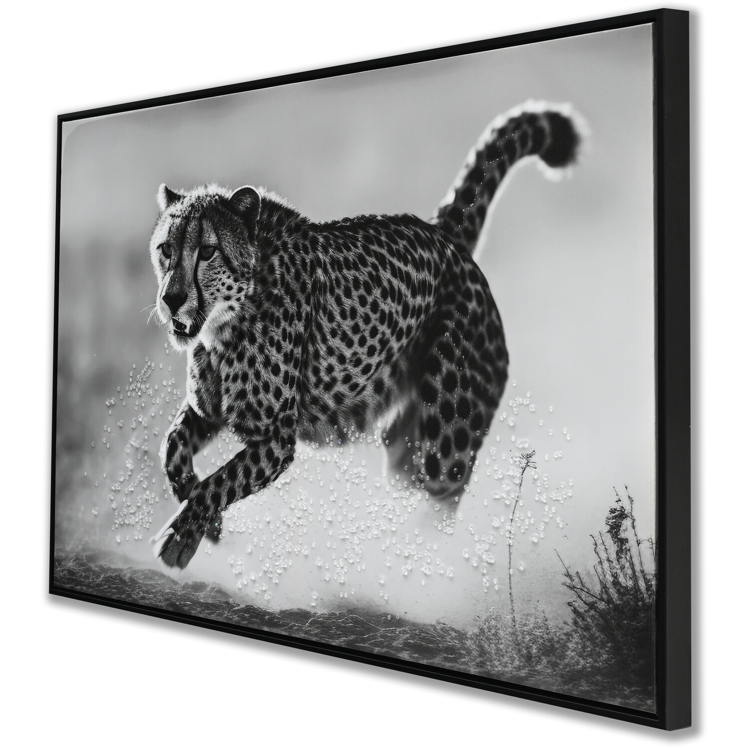 Monochrome Cheetah Framed Print - Black Image 2