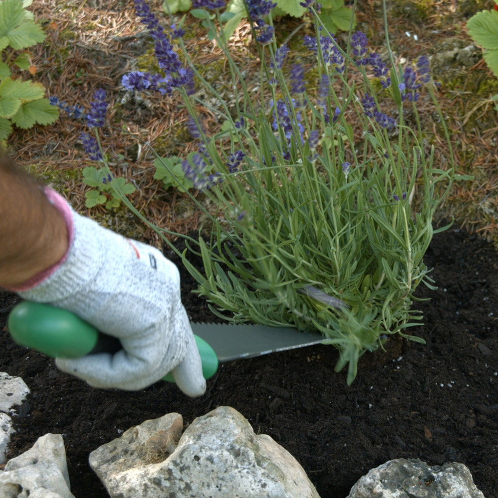 JML Starlyf Root Digger Trowel Image 3