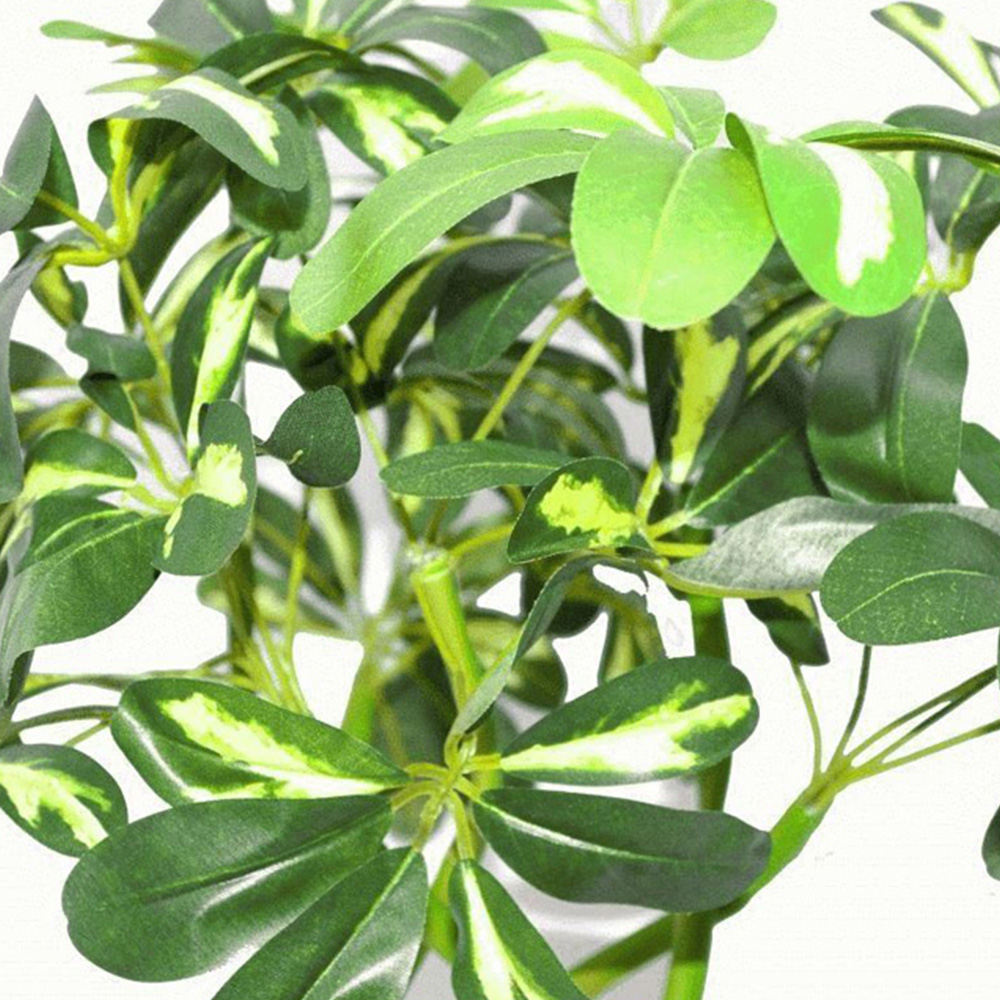 Leaf Arboricola Artificial Plant in Pot 70cm Image 2