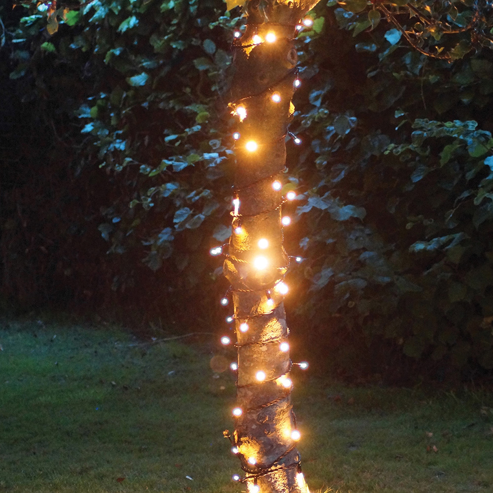 Eagle Connect Gold LED Black String Light 85m Image 4