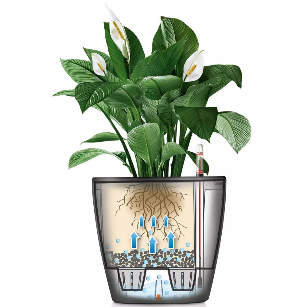 Lechuza Classico Colour 43 Sand Brown Poly-Resin Self-Watering Planter 40cm Image 4