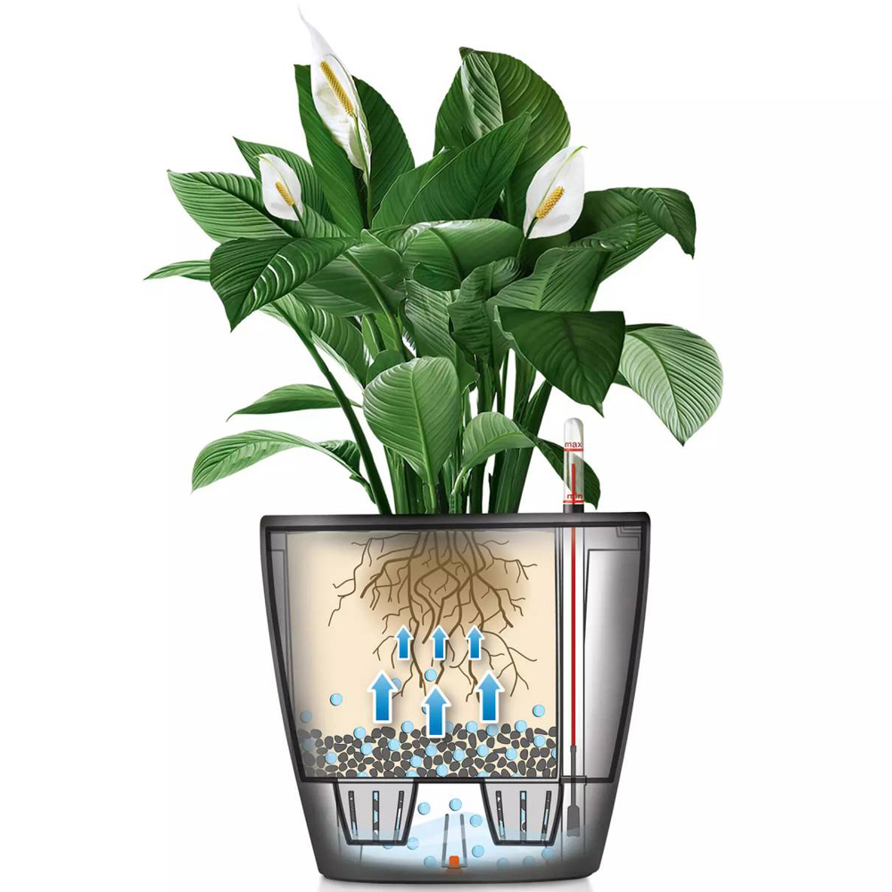 Lechuza Classico Colour 60 Slate Poly-Resin Self-Watering Planter 56cm Image 3