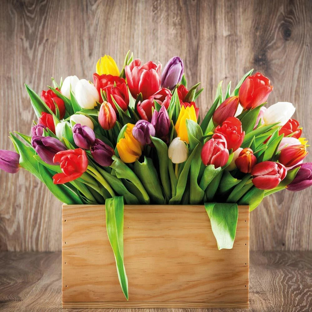 Thompson and Morgan Tulip Triumph Mixed Planting Bulb 40 Pack Image 4