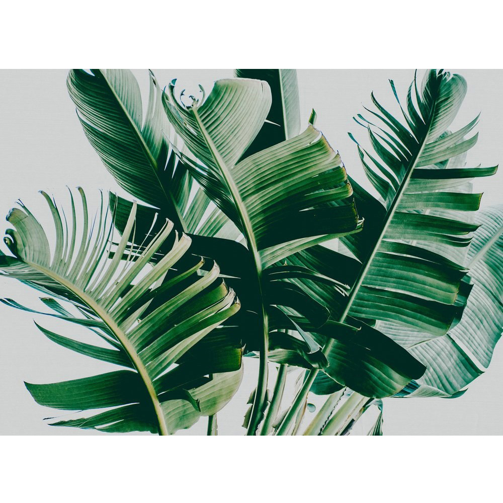 A.S Creation Palm Fronds 1 Digital Mural Image 2