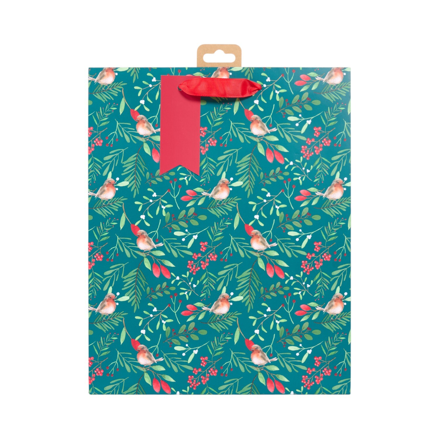 Robin Gift Bag Large Image 13