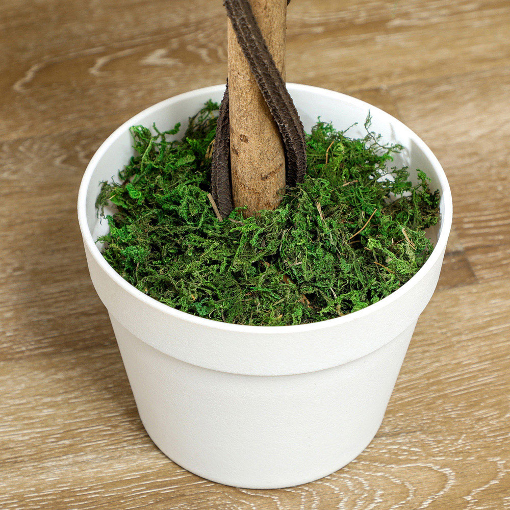 Portland Yellow Rose Artificial Tree in Pot 90cm 2 Pack Image 5