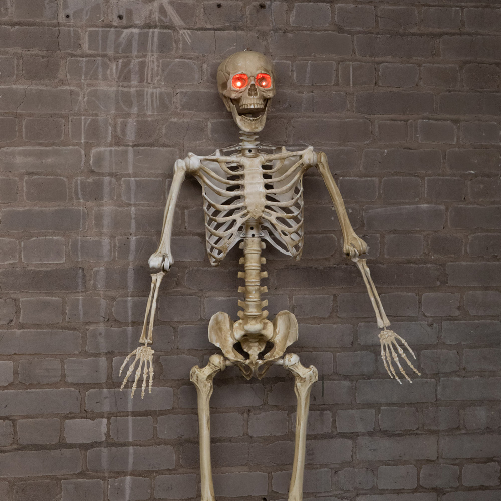 Samuel Alexander Light Up Posable Full Body Skeleton Halloween Decoration 5ft Image 8