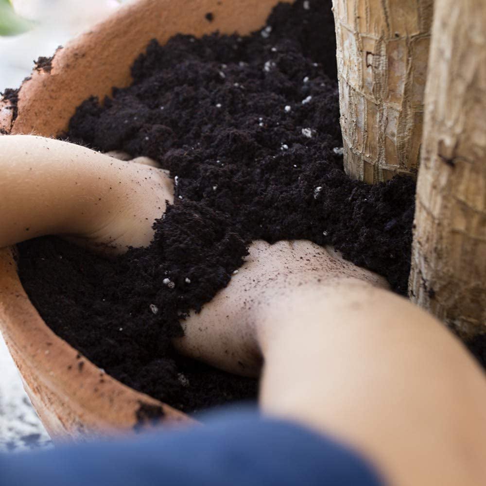 Thompson & Morgan Incredicompost Houseplant Peat Free Bag 25L Image 5