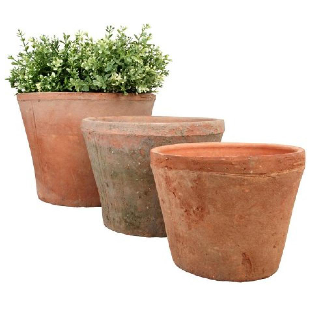 Fallen Fruits Terracotta Round Aged Plant Pot Set of 3 Image