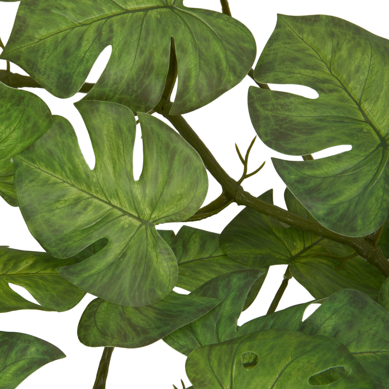 Monstera Garland - Green Image 5