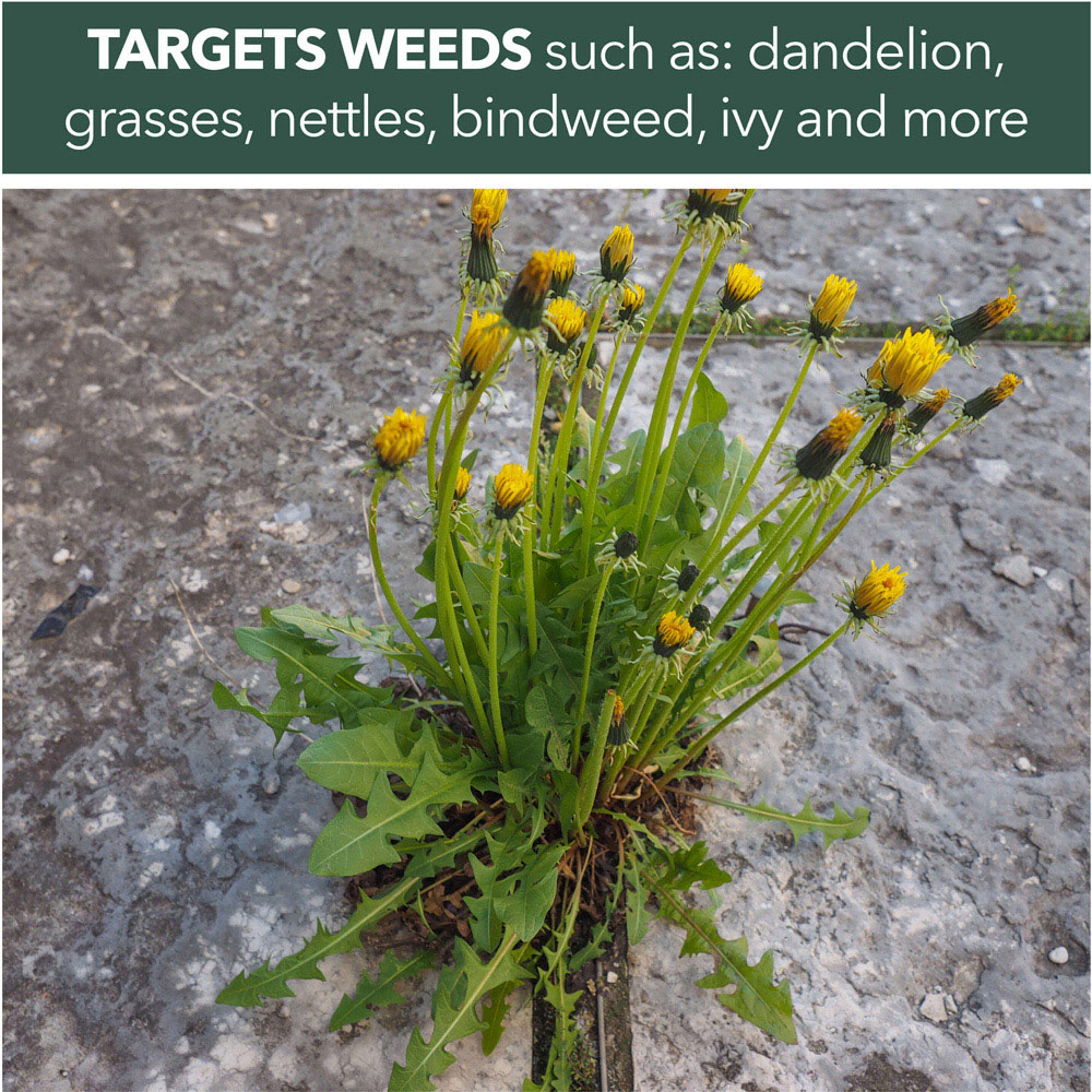 WeedBlast Rootkill Concentrate Weed Killer Sachets 9 Pack Image 2