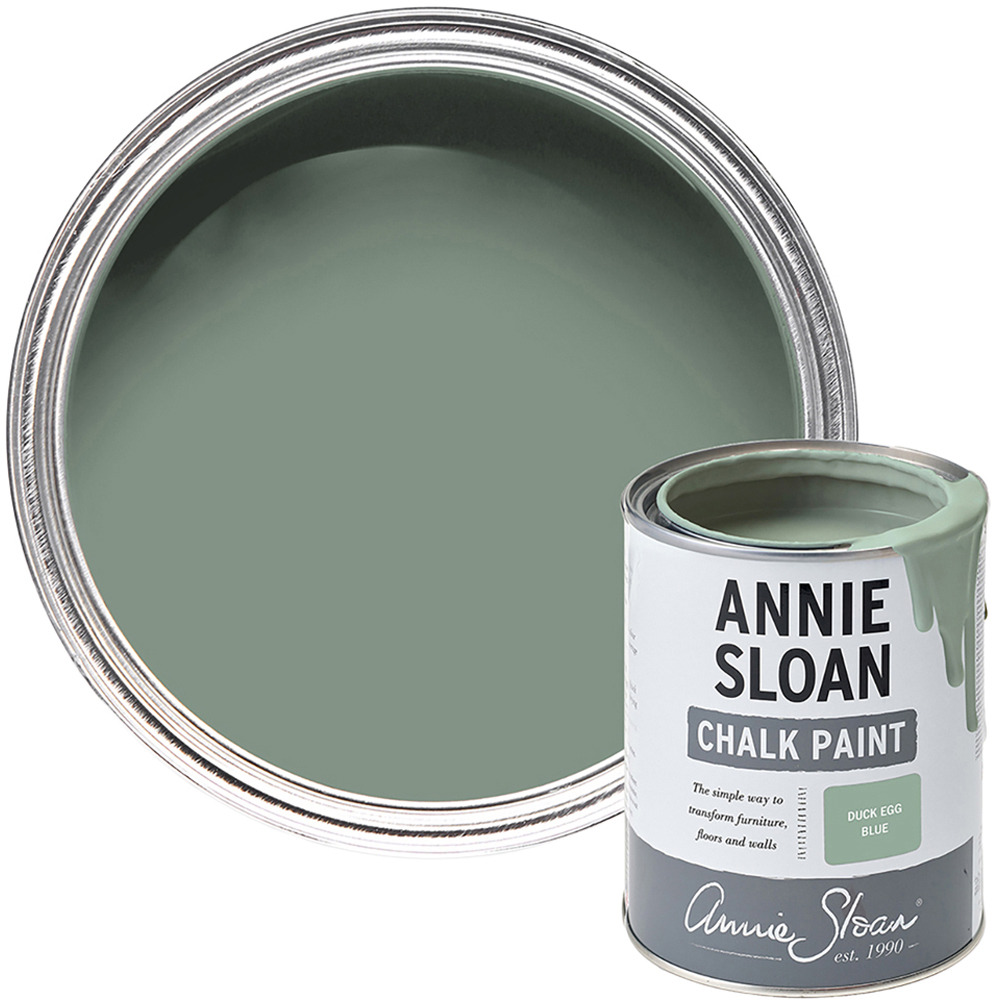 Annie Sloan Duck Egg Blue Matt Chalk Paint 500ml Image 1