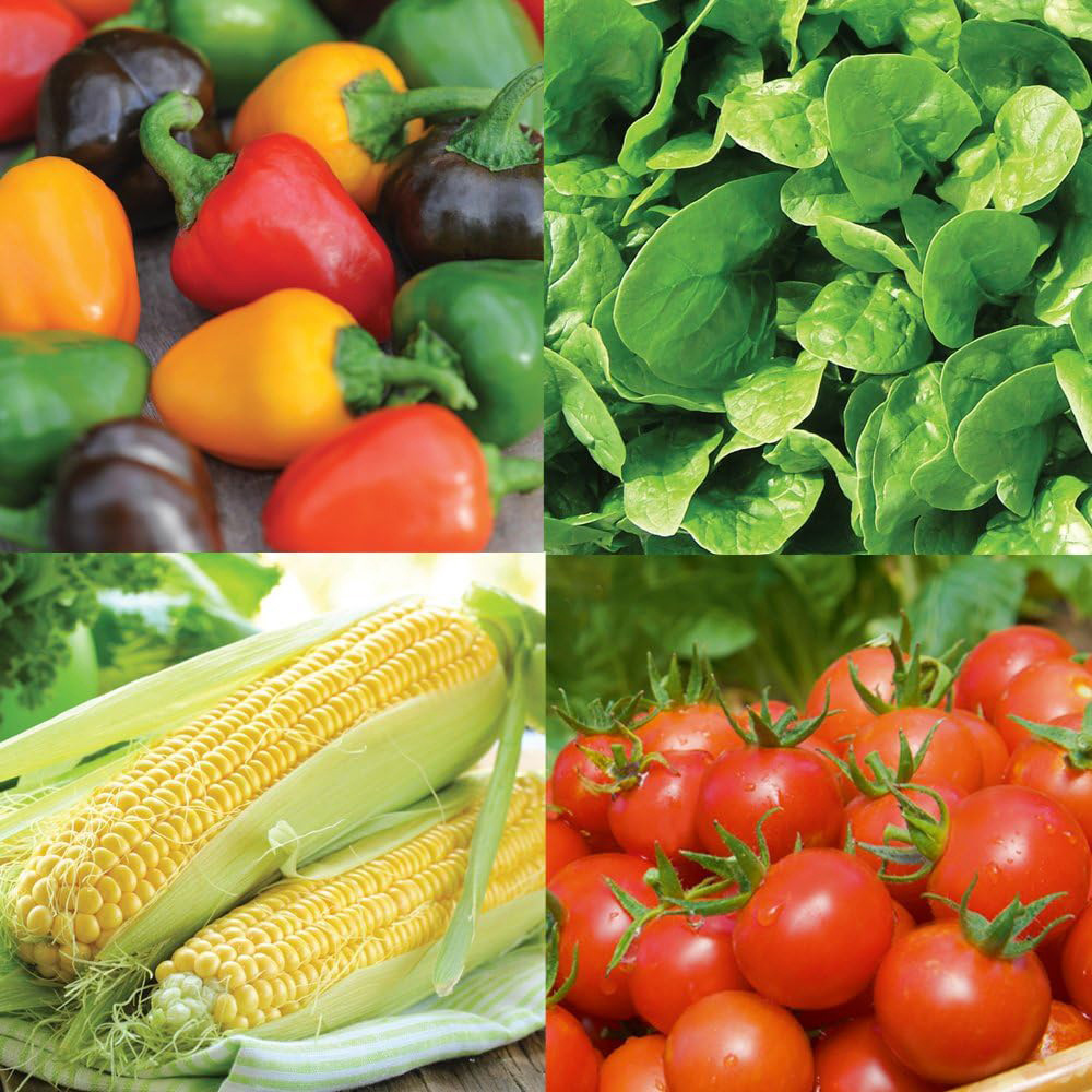 Thompson and Morgan Nurserymans Choice Flower Seed 50 Packets Image 5