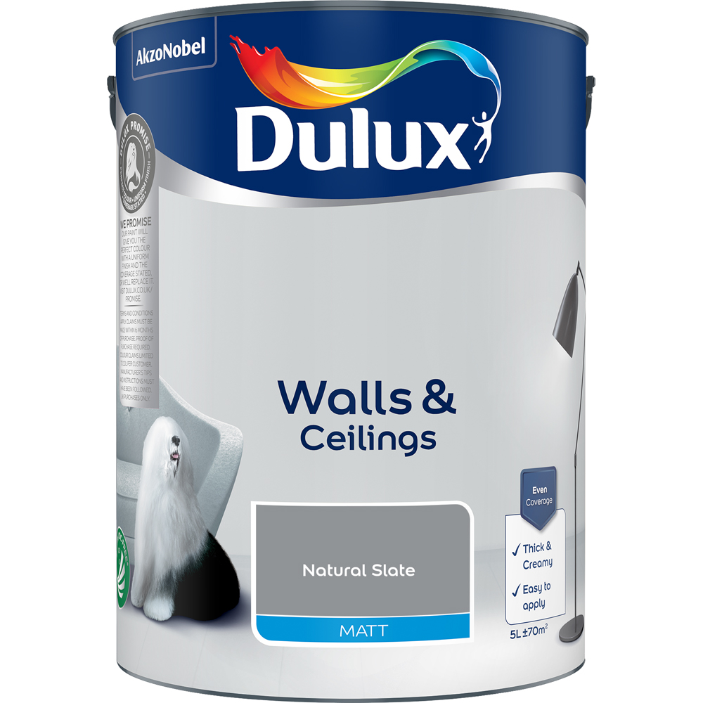 Dulux Natural Slate Walls and Ceilings Matt Emulsion Paint 5L Image 2