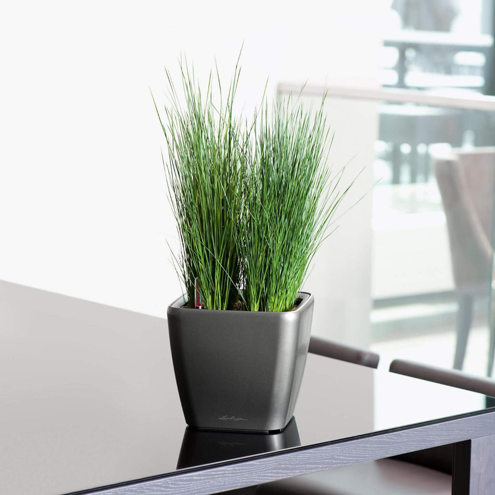 Lechuza Quadro Charcoal Self Watering Planter 21cm 2 Pack Image 2