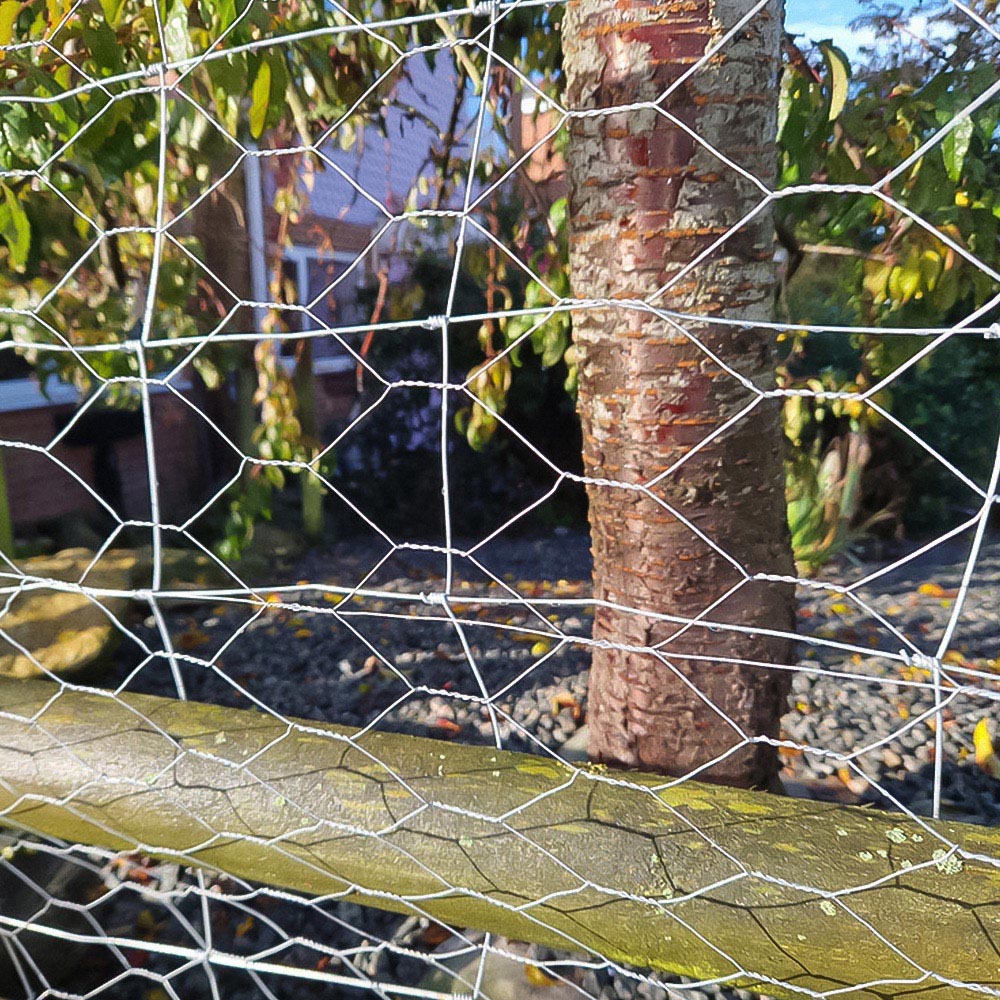 Inspirational Gifting 25mm Galvanised Wire Mesh Chicken Fencing Roll 90cm x 25m Image 4