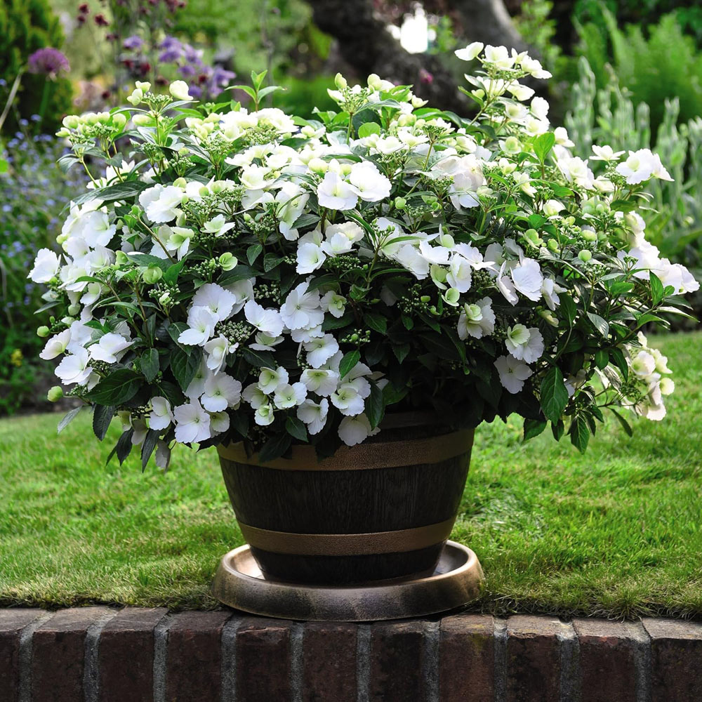 Garden Gear Wooden Barrel Effect Plant Pot and Saucer 40cm 10 Pack Image 2