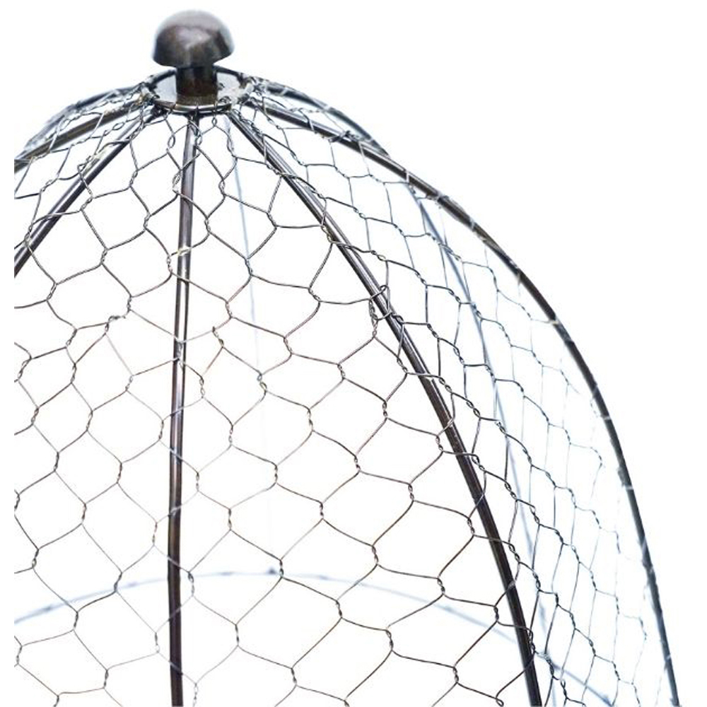 Ivyline Zinc Wire Netted Garden Plant Protector 55 x 47cm Image 2