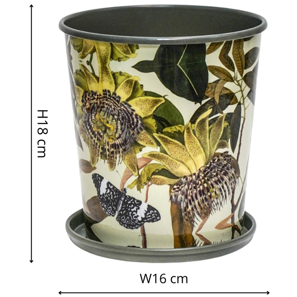 Ivyline Kew Green Botanical Retreat Planter with Saucer 16cm Image 4