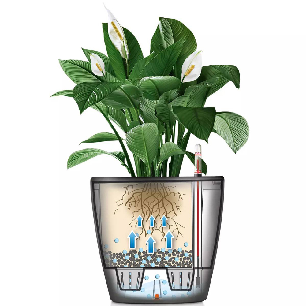 Lechuza Classico Black Polyresin Self Watering Planter 21cm 2 Pack Image 3