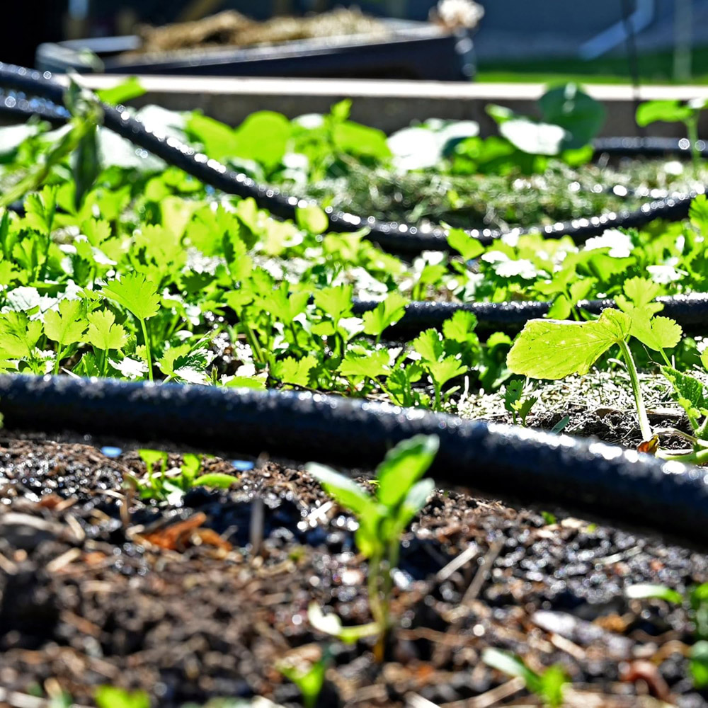 Garden Gear Soaker Hose Kit 50m Image 4