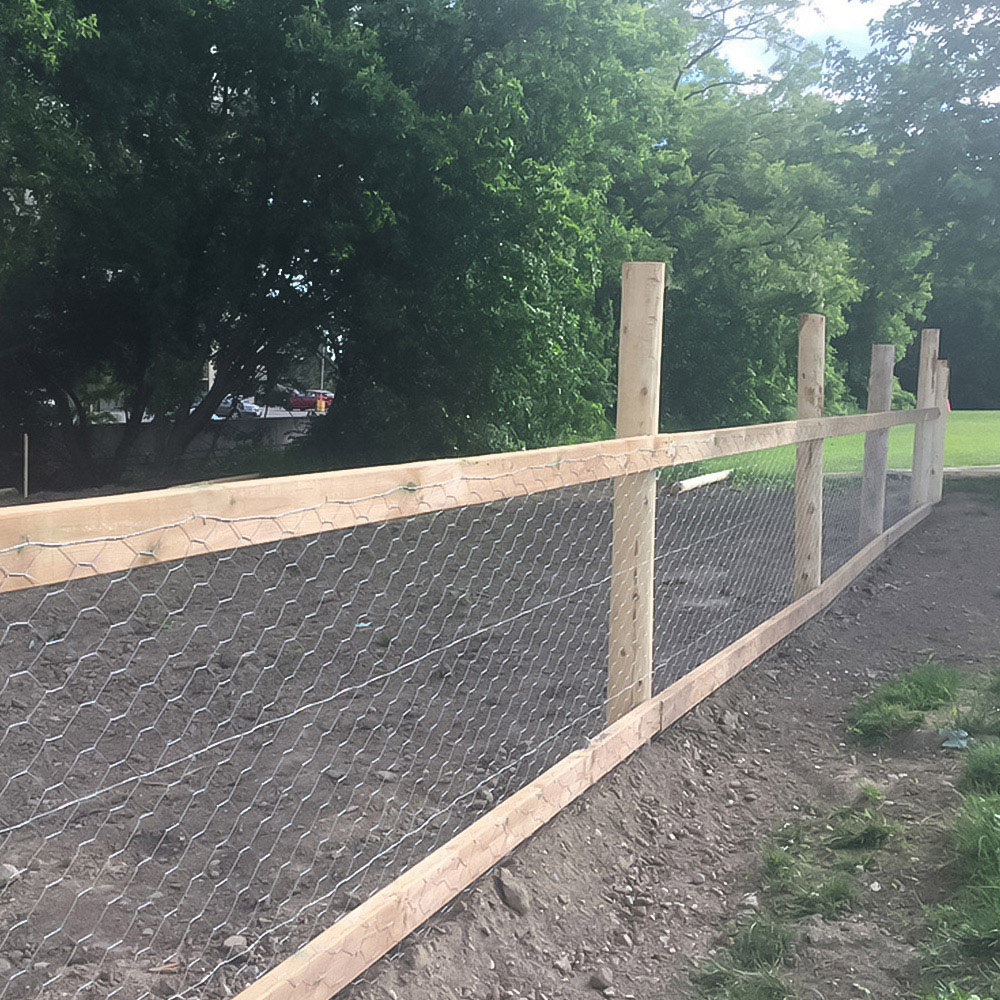 Inspirational Gifting 25mm Galvanised Wire Mesh Chicken Fencing Roll 90cm x 25m Image 3