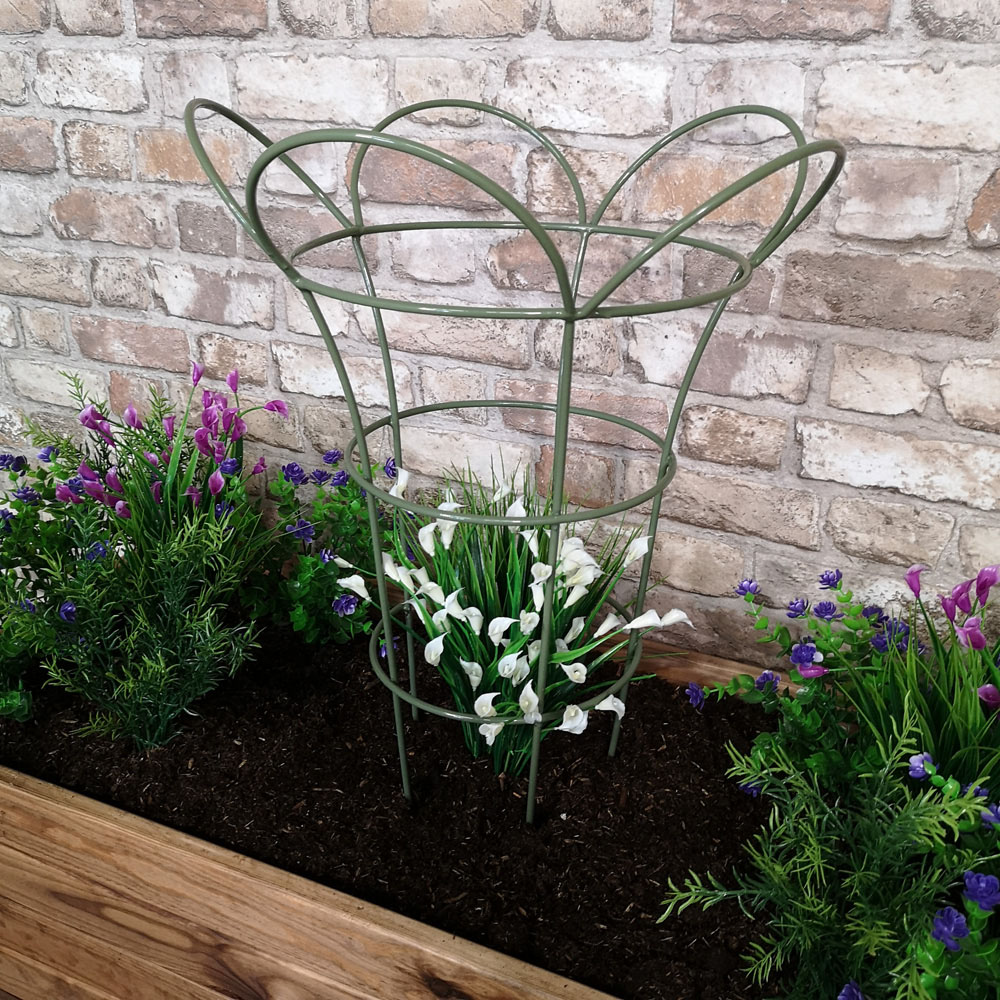 Samuel Alexander Sage Green Steel Herbaceous Garden Plant Support Basket 65cm x 37cm Image 2