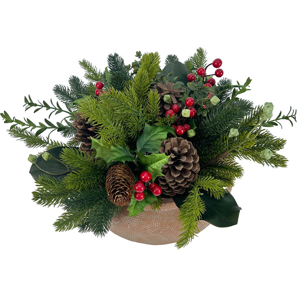 Traditional Potted Holly and BerryGreen Image 1