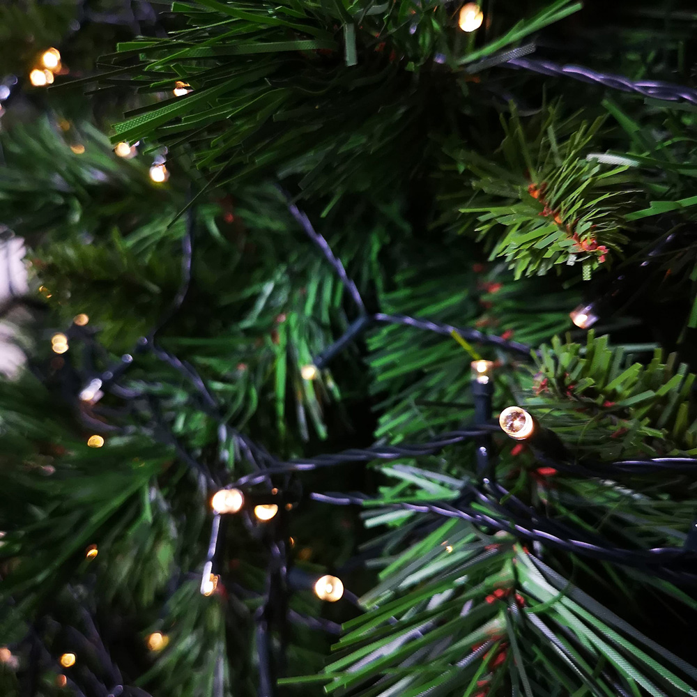 Premier TimeLights 1000 Warm White LED Multi-Function Green Cable String Light 100m Image 3