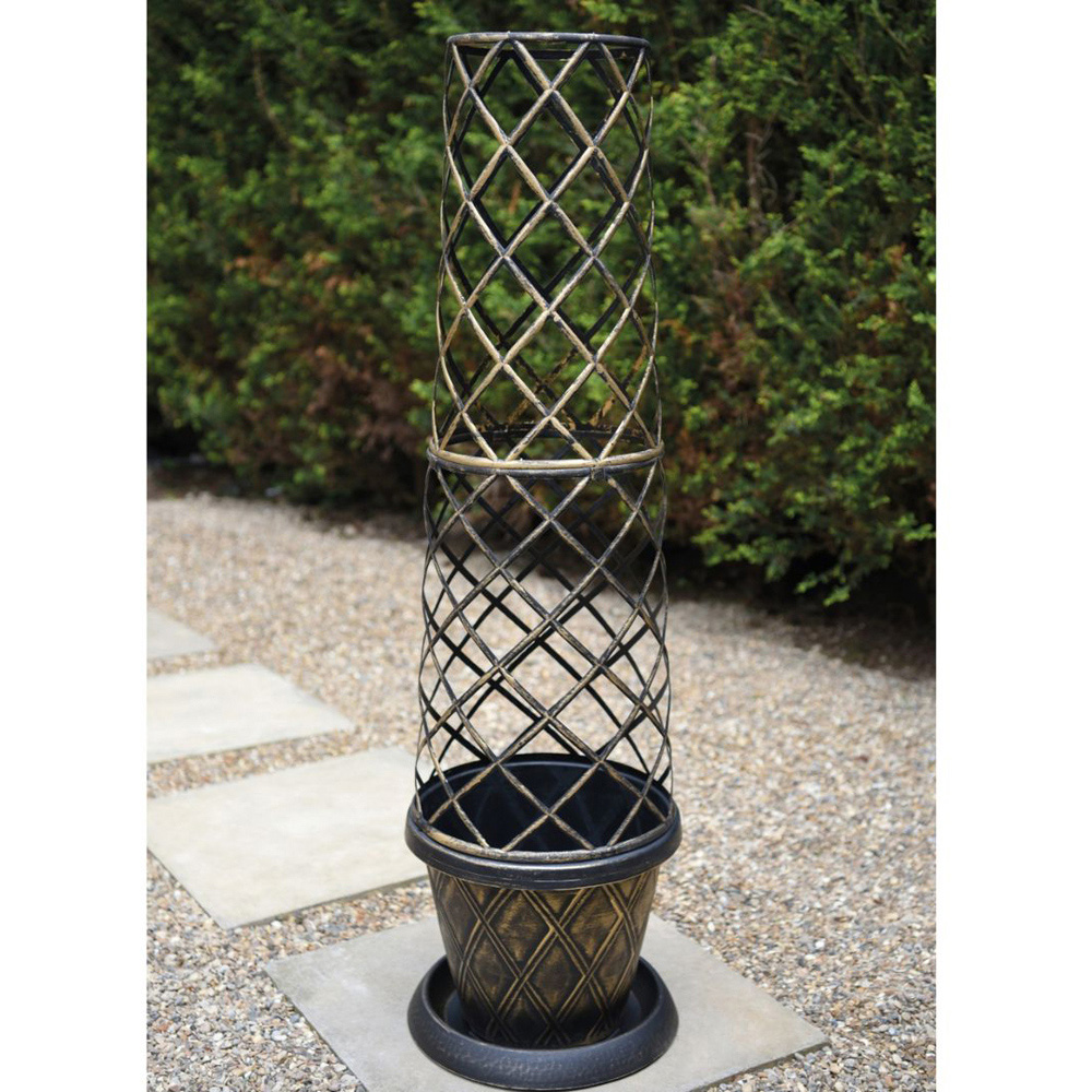 Thompson and Morgan Jasminum Starry Starry Summer Scent Plant Pot 9cm 2 Pack with Tower pot Image 2