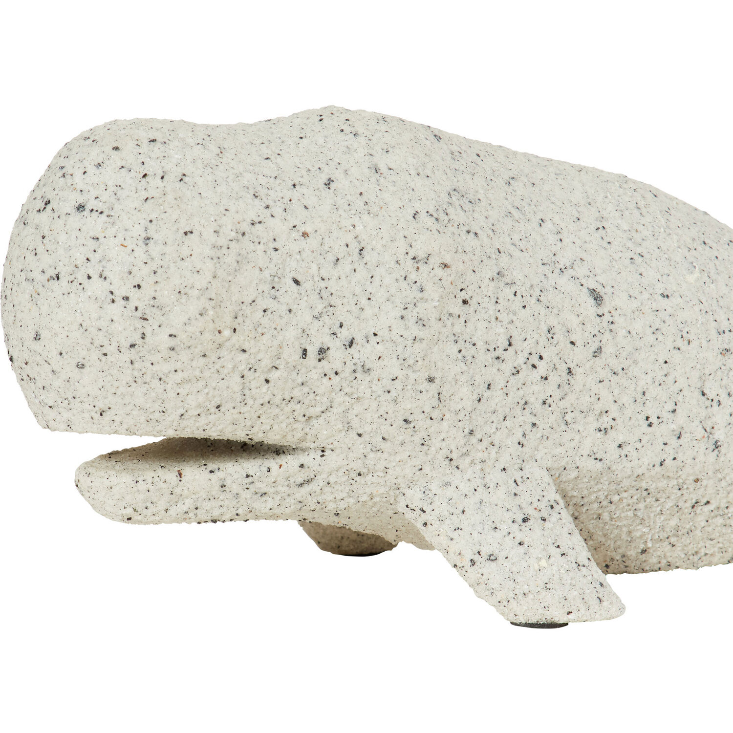 Wilma the Whale - White Image 4