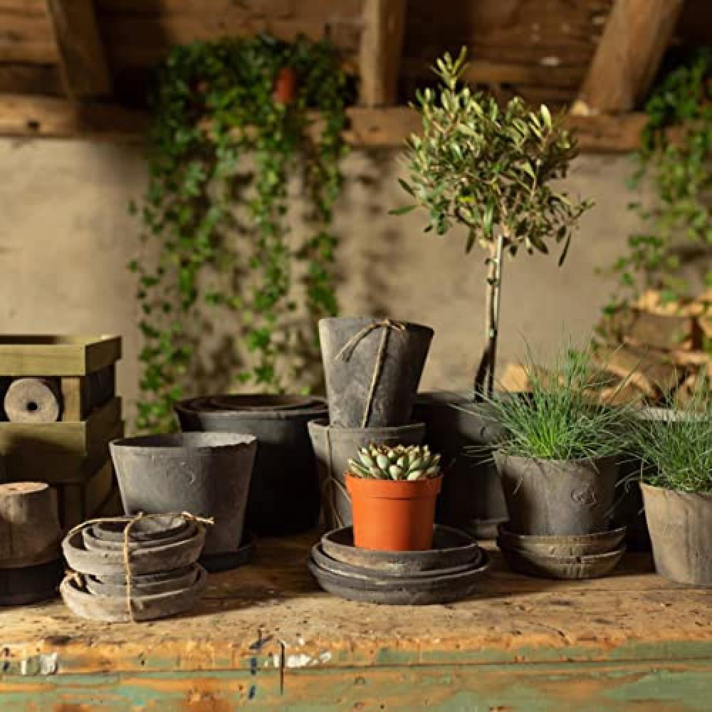 Fallen Fruits Grey Terracotta Round Pot 25.7cm 3 Pack Image 2