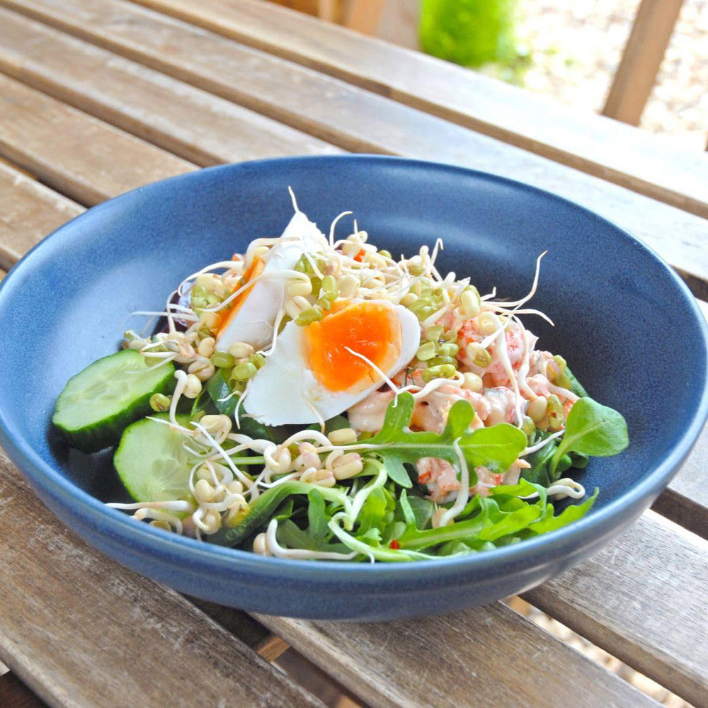 Thompson and Morgan Sprouting Mung Beans Vigna Radiata Seed Packet Image 2