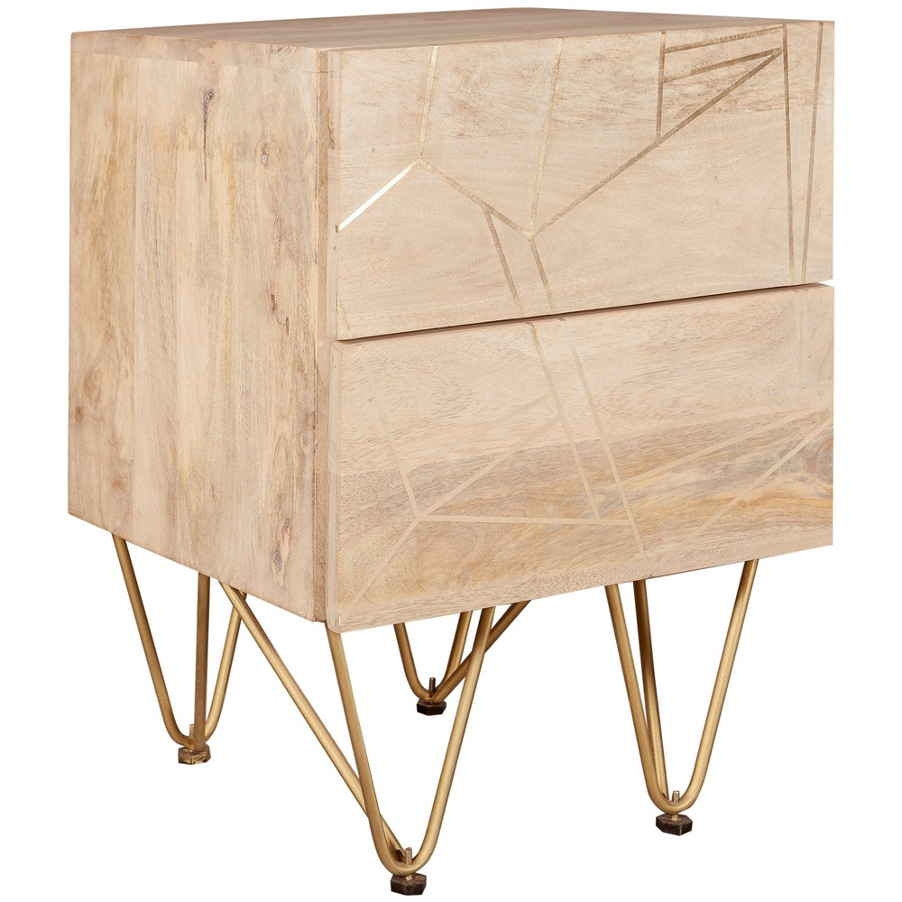 Brooklyn Huyen 2 Drawer Light Gold Side Table Image 2
