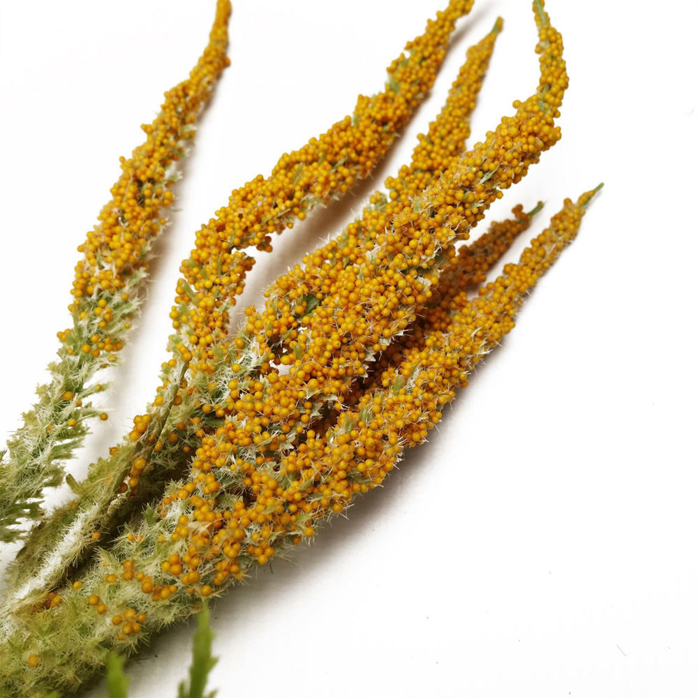 Leaf Amaranthus Hanging Artificial Garland 180cm Image 2