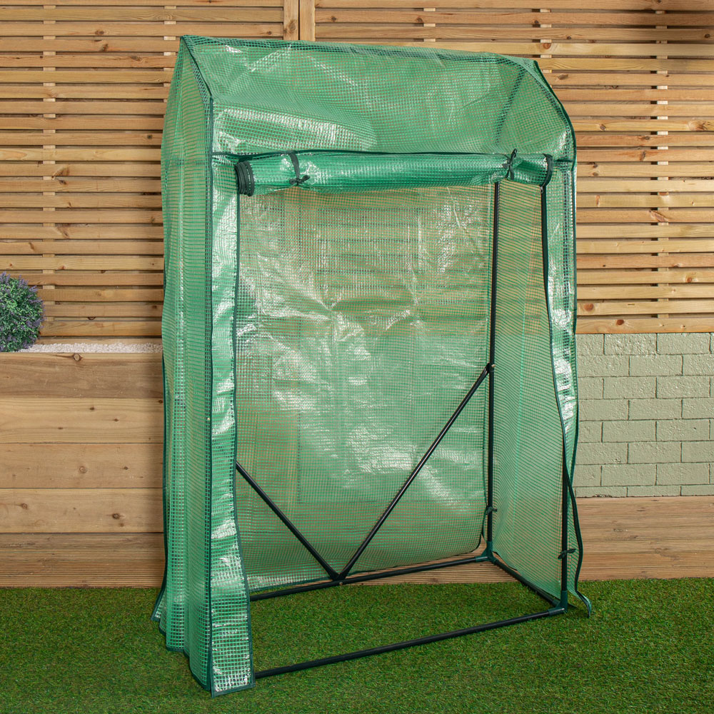 Samuel Alexander PE Cover 4.9 x 3.2ft Greenhouse Image 3