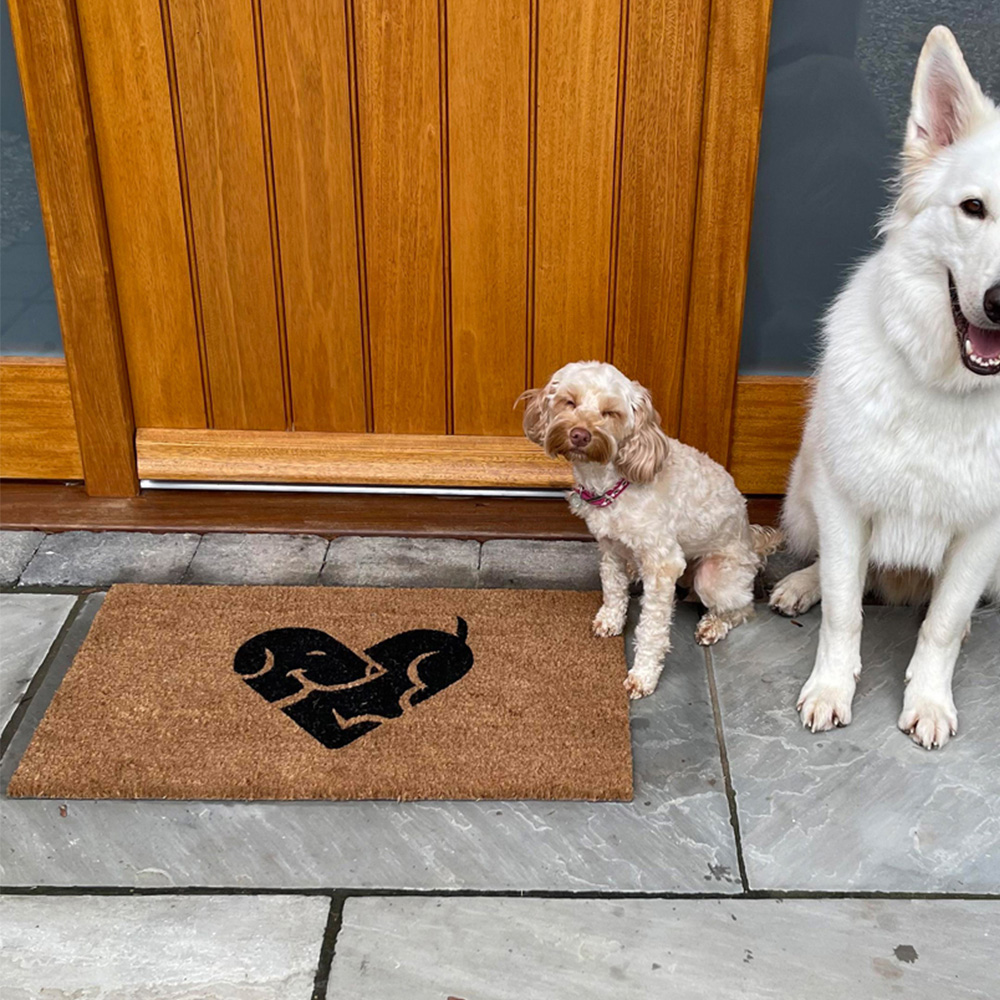 Coco & Coir Puppy Love Coir Door Mat 45 x 75cm Image 6
