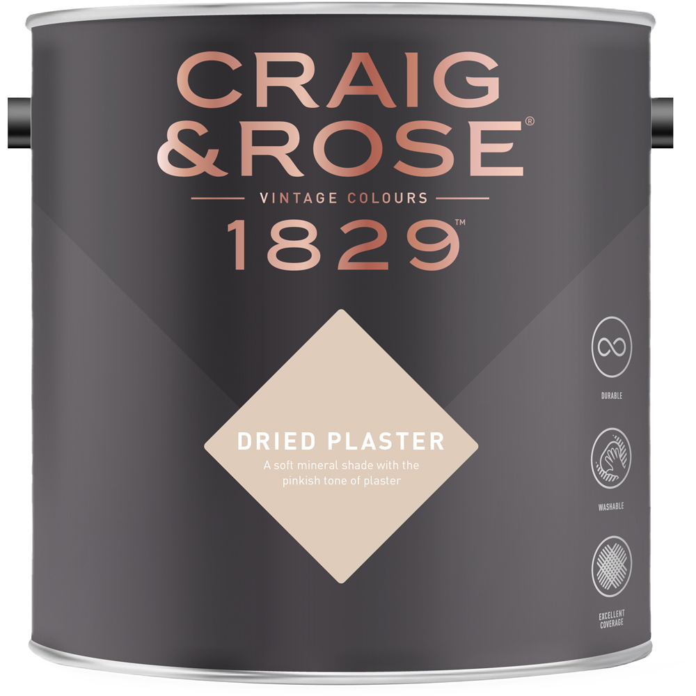 Craig & Rose Kitchen and Bathroom Dried Plaster Eggshell Paint 750ml Image 2