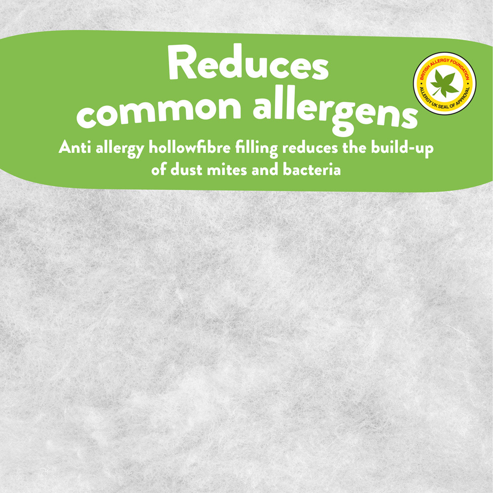 Slumberdown King Sleep Soundly Anti Allergy Mattress Topper Image 7