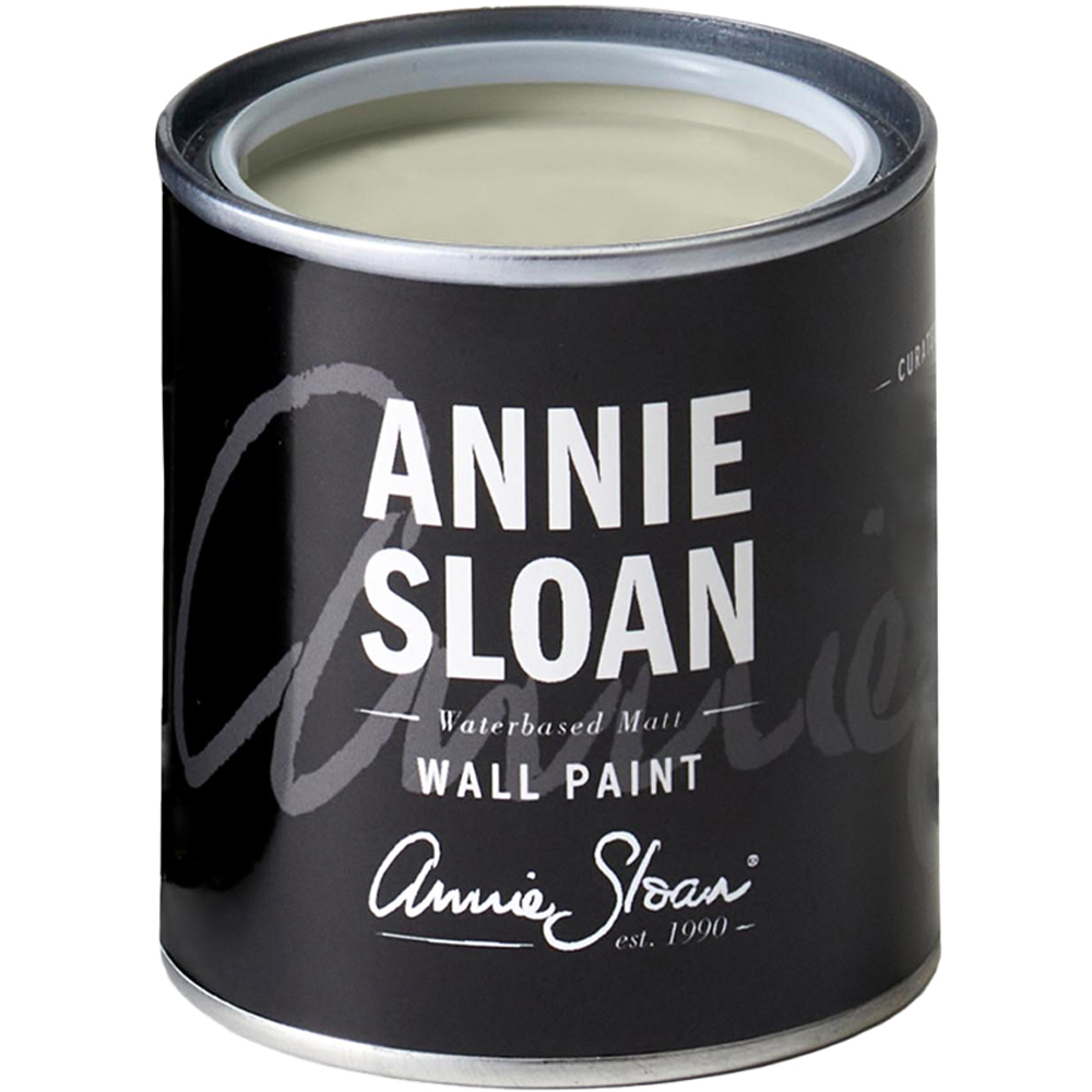 Annie Sloan Cotswold Green Matt Wall Paint 120ml Image 2