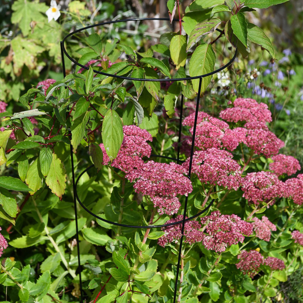 Garden Gear XL Conical Plant Support 3 Pack Image 2