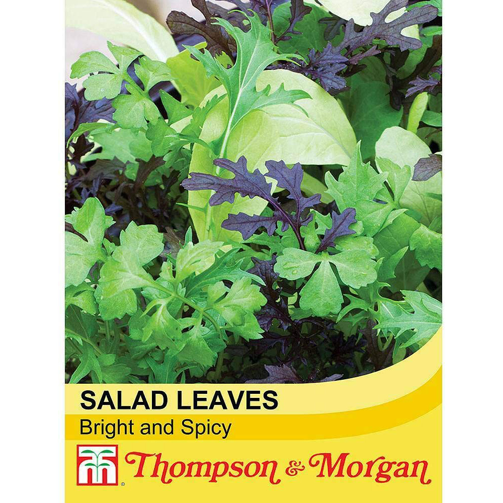 Thompson & Morgan Salad Leaves Bright and Spicy Seeds Image 2