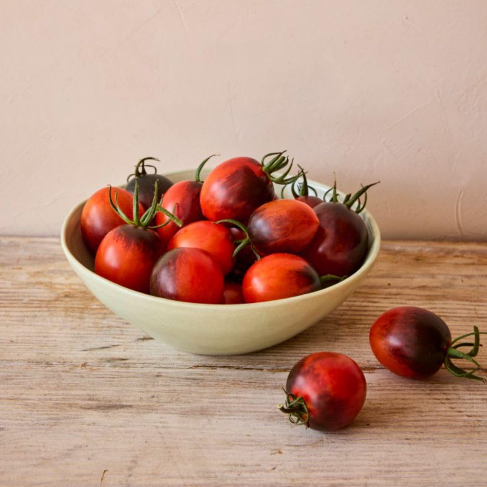 Thompson and Morgan Tomato Black Moon Plant in Pot 9cm Image 5